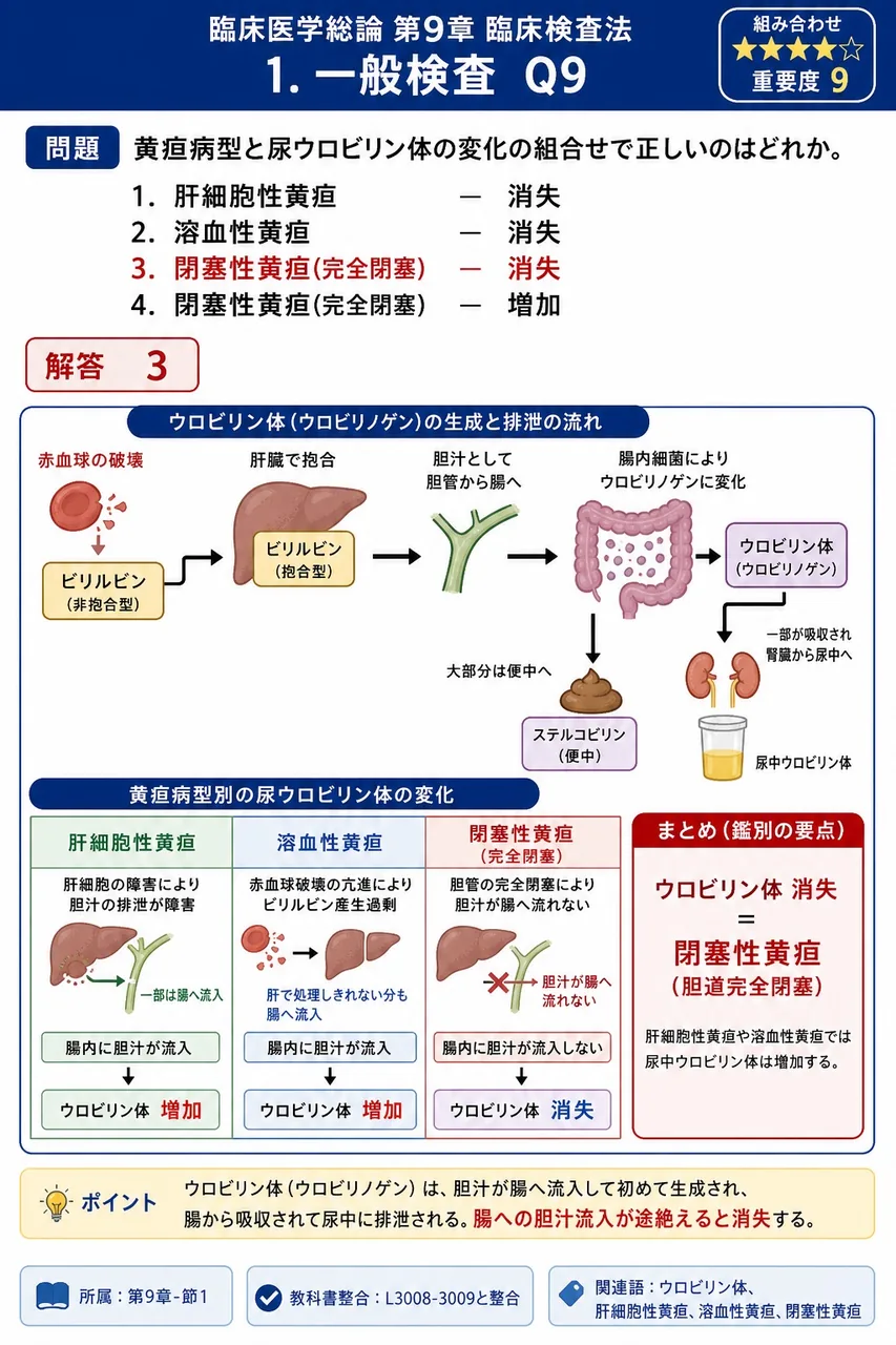 黄疸病型と尿ウロビリン体の変化の組合せで正しいのはどれか。 解説図