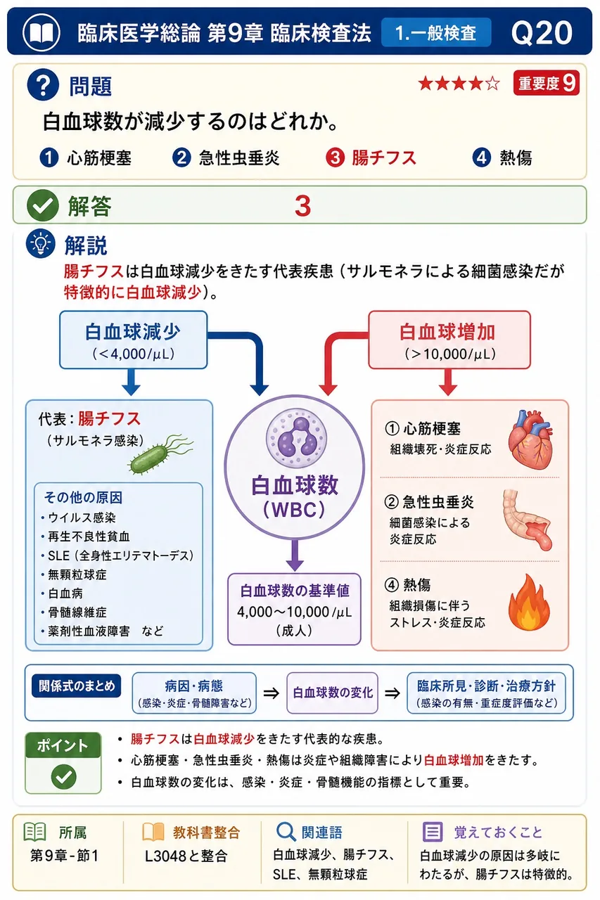 白血球数が減少するのはどれか。 解説図