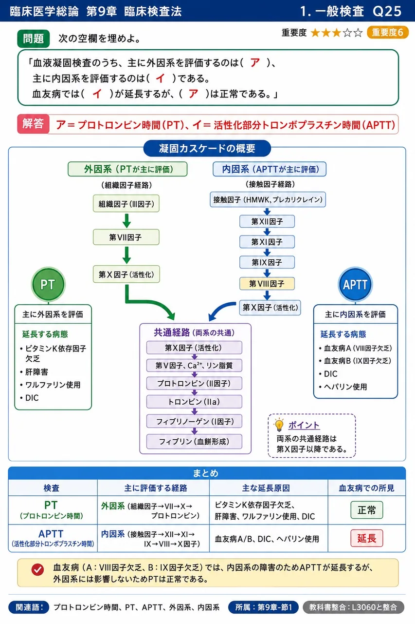 次の空欄を埋めよ。 「血液凝固検査のうち、主に外因系を評価するのは( ア )、主に内因系を評価するのは( イ )である。血友病では( イ )が延長するが、( ア )は正常である。」 解説図