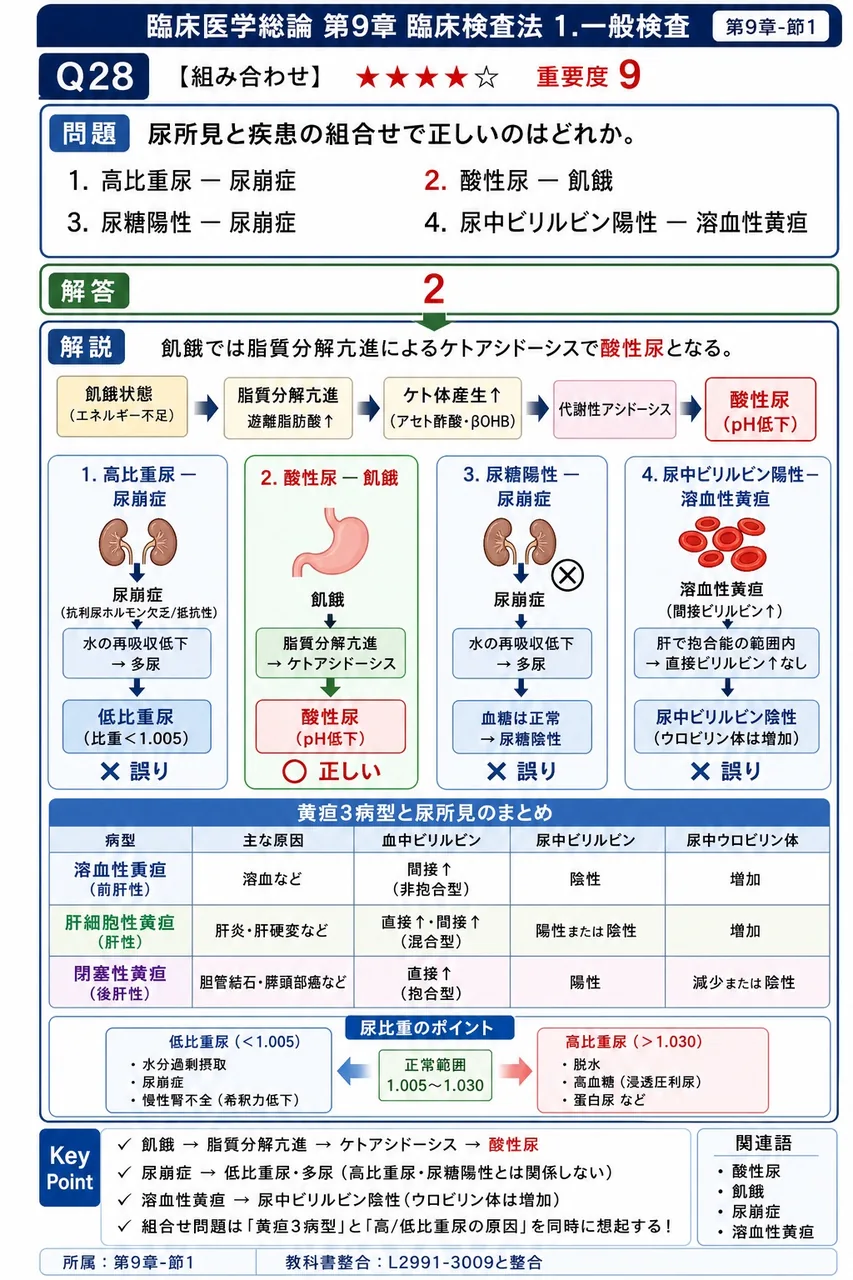 尿所見と疾患の組合せで正しいのはどれか。 解説図