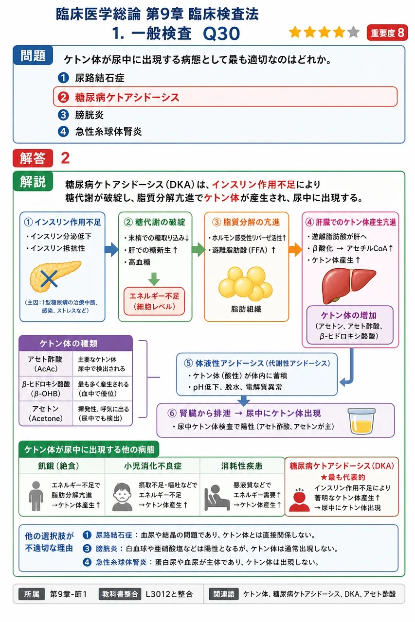 ケトン体が尿中に出現する病態として最も適切なのはどれか。 解説図