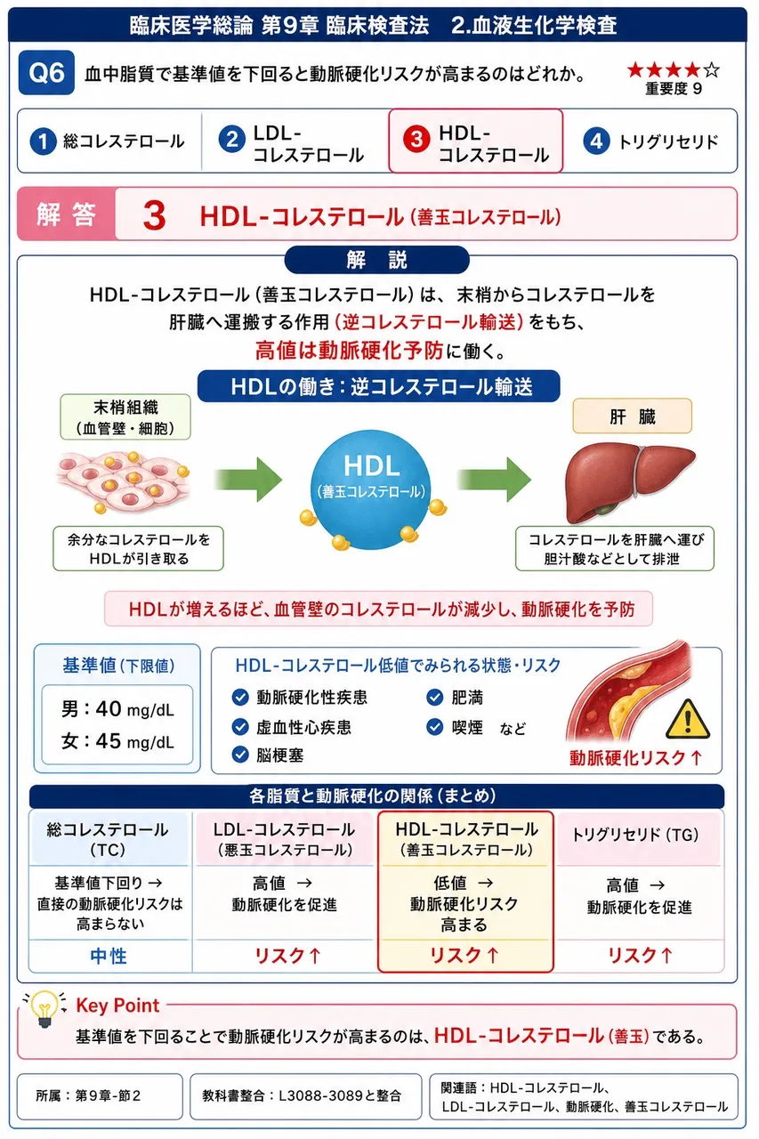 血中脂質で基準値を下回ると動脈硬化リスクが高まるのはどれか。 解説図