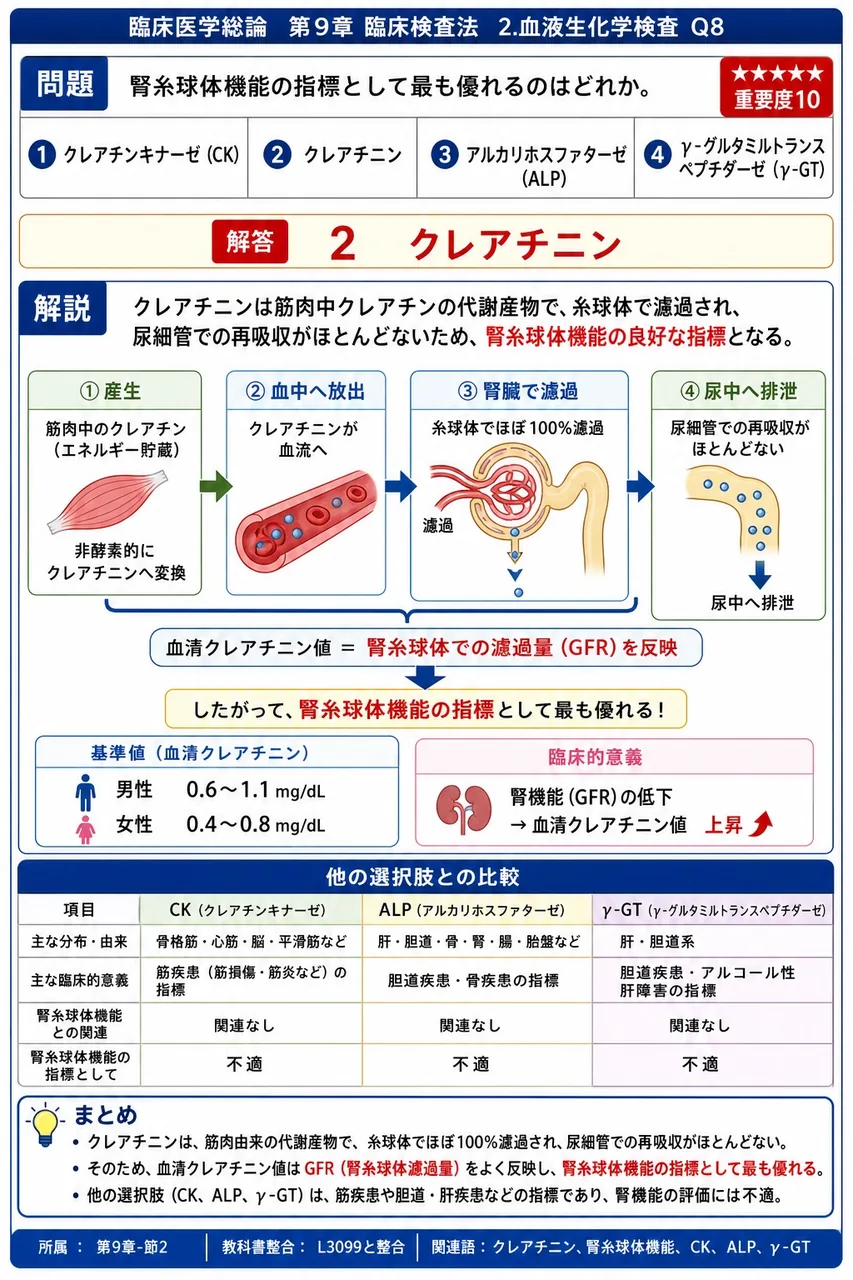 腎糸球体機能の指標として最も優れるのはどれか。 解説図