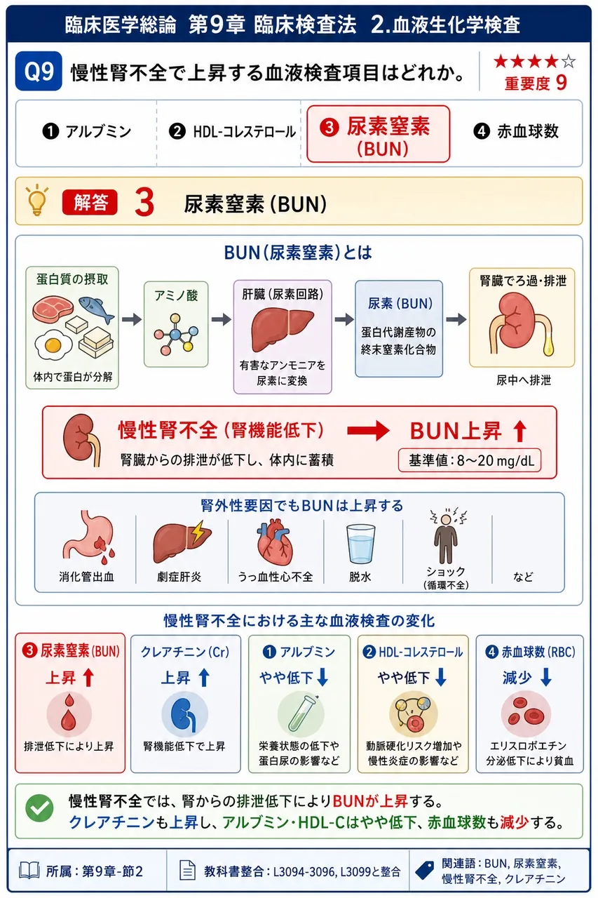 慢性腎不全で上昇する血液検査項目はどれか。 解説図