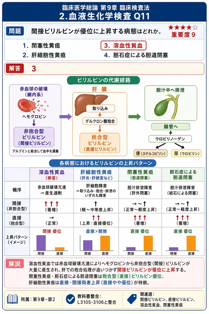 間接ビリルビンが優位に上昇する病態はどれか。 解説図