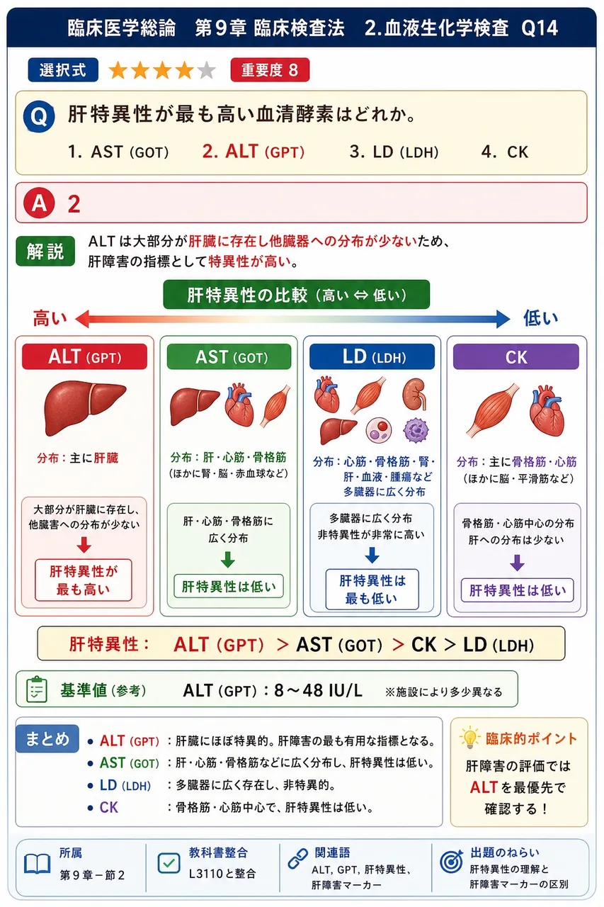 肝特異性が最も高い血清酵素はどれか。 解説図