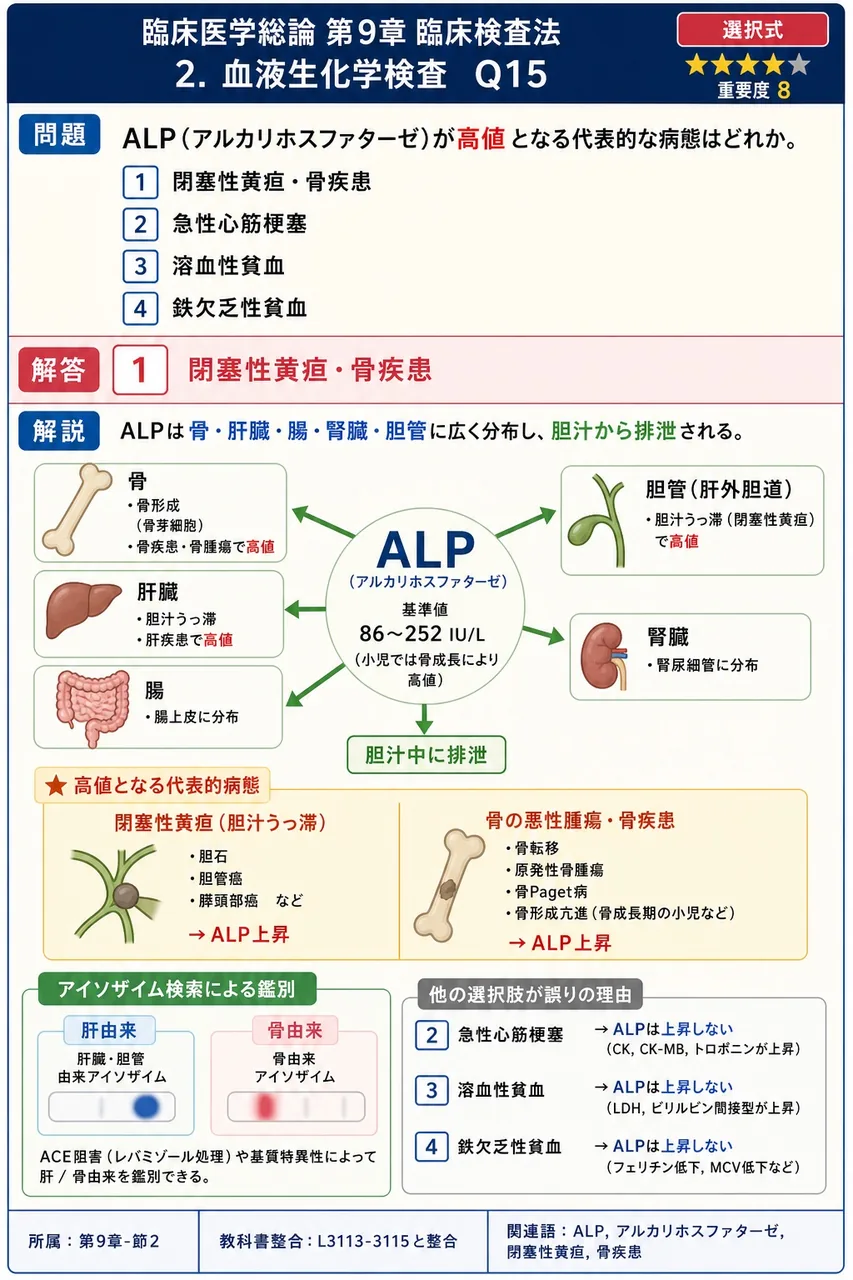 ALP(アルカリホスファターゼ)が高値となる代表的な病態はどれか。 解説図