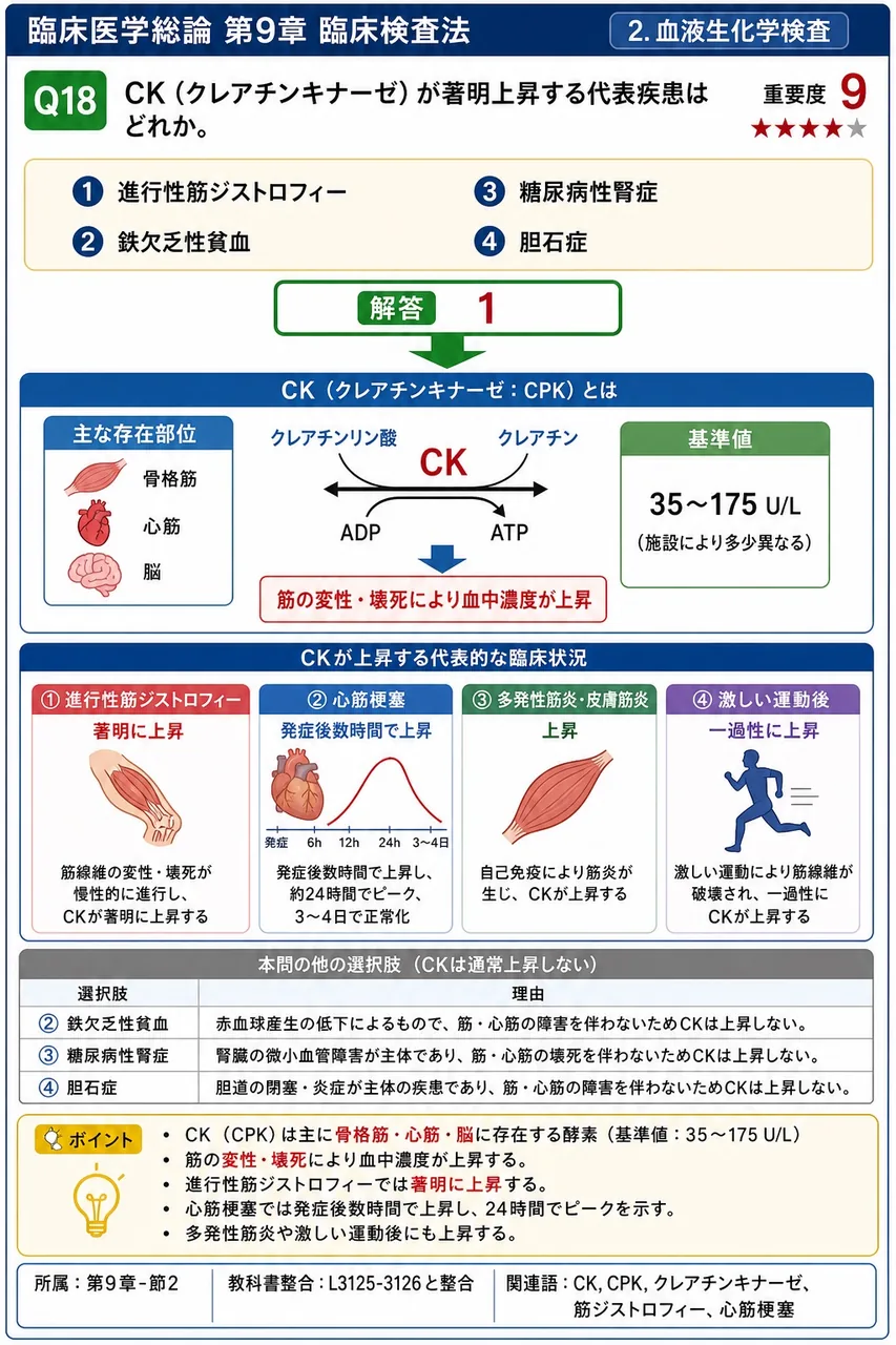 CK(クレアチンキナーゼ)が著明上昇する代表疾患はどれか。 解説図