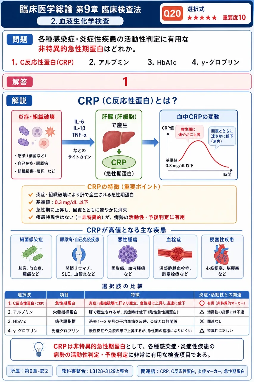 各種感染症・炎症性疾患の活動性判定に有用な非特異的急性期蛋白はどれか。 解説図