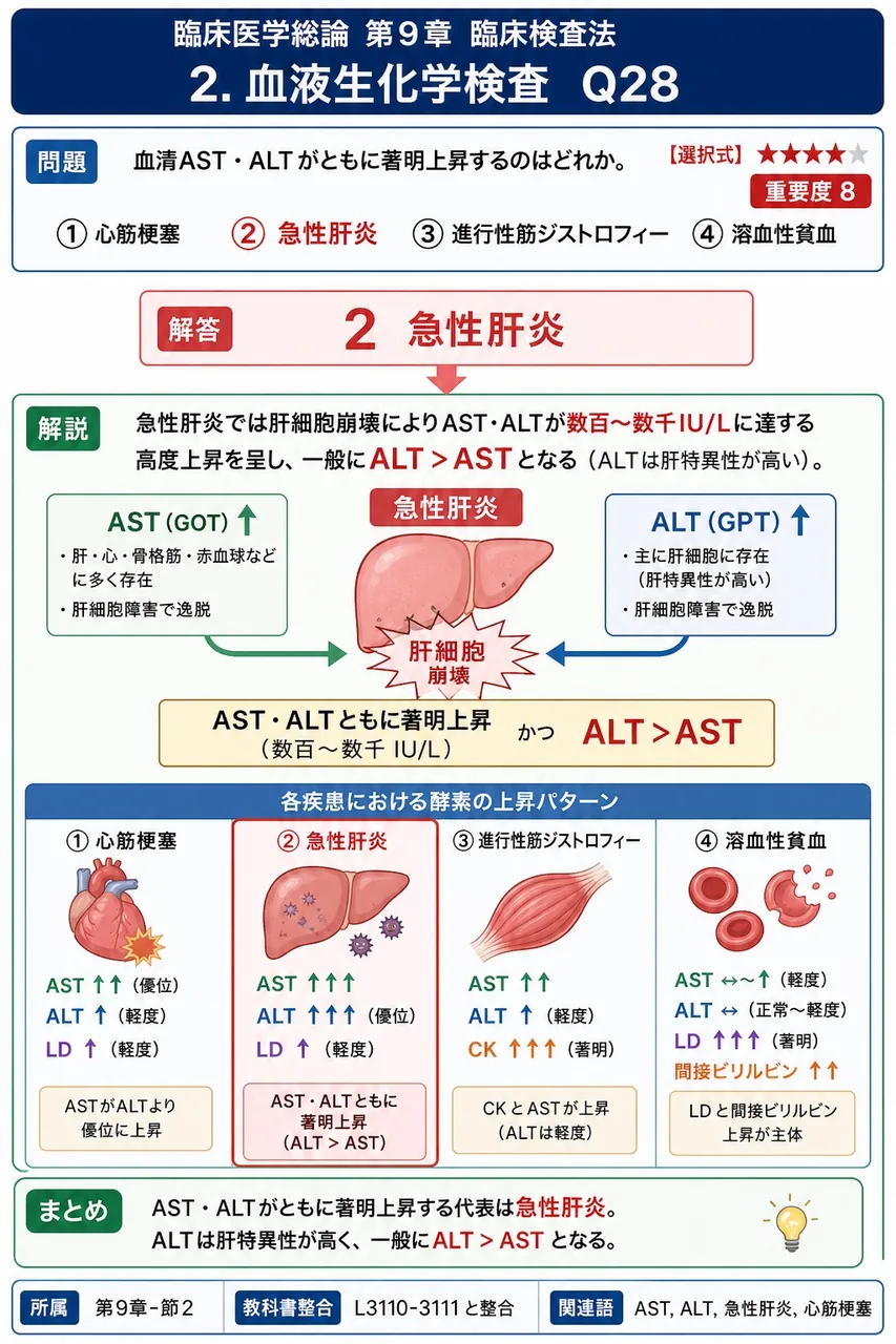 血清AST・ALTがともに著明上昇するのはどれか。 解説図
