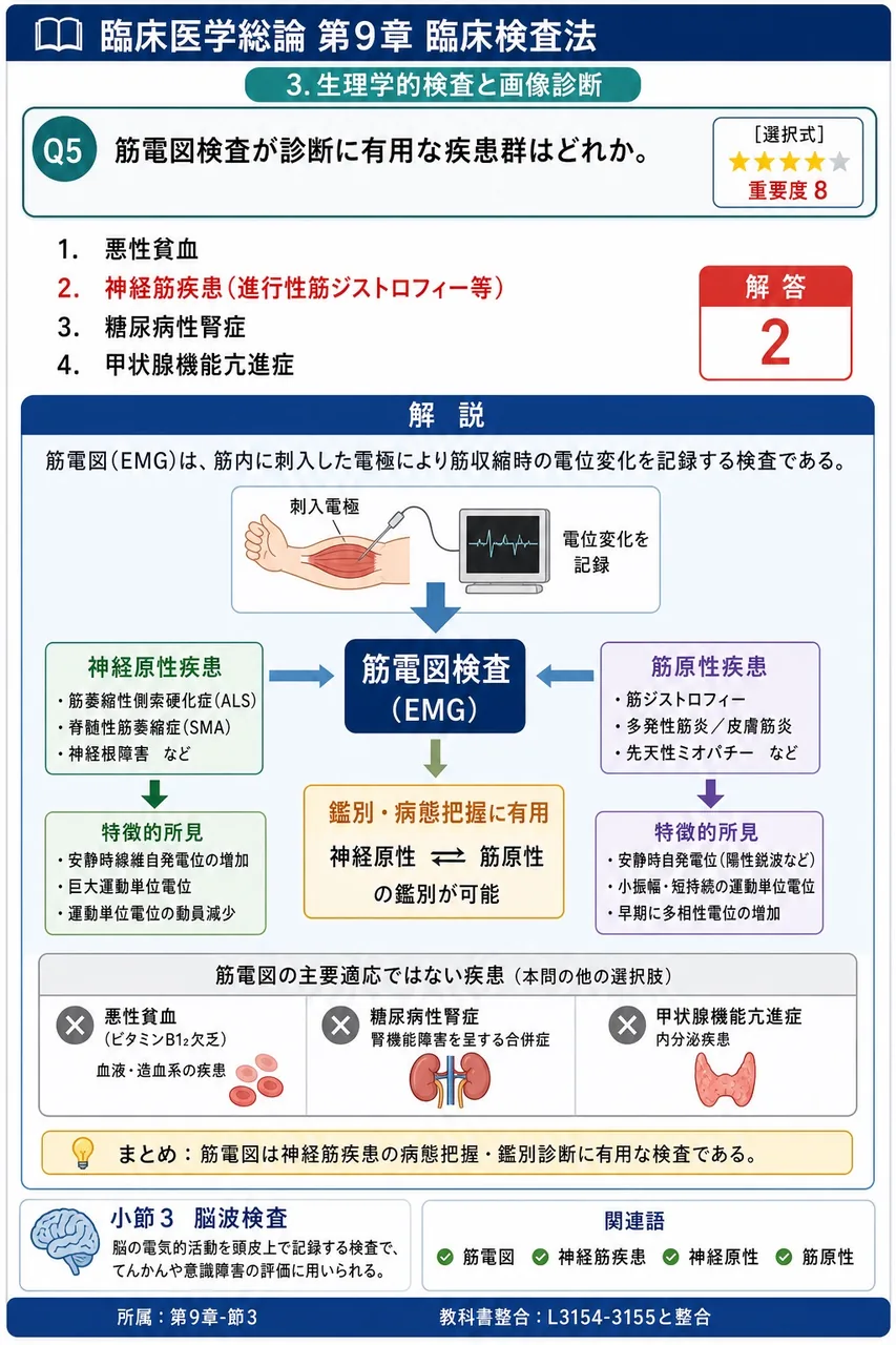 筋電図検査が診断に有用な疾患群はどれか。 解説図