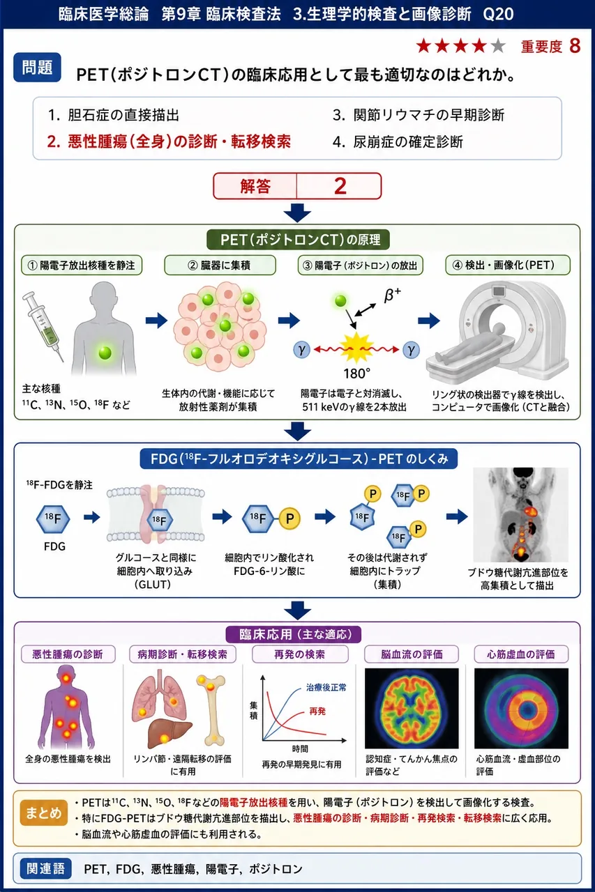 PET(ポジトロンCT)の臨床応用として最も適切なのはどれか。 解説図