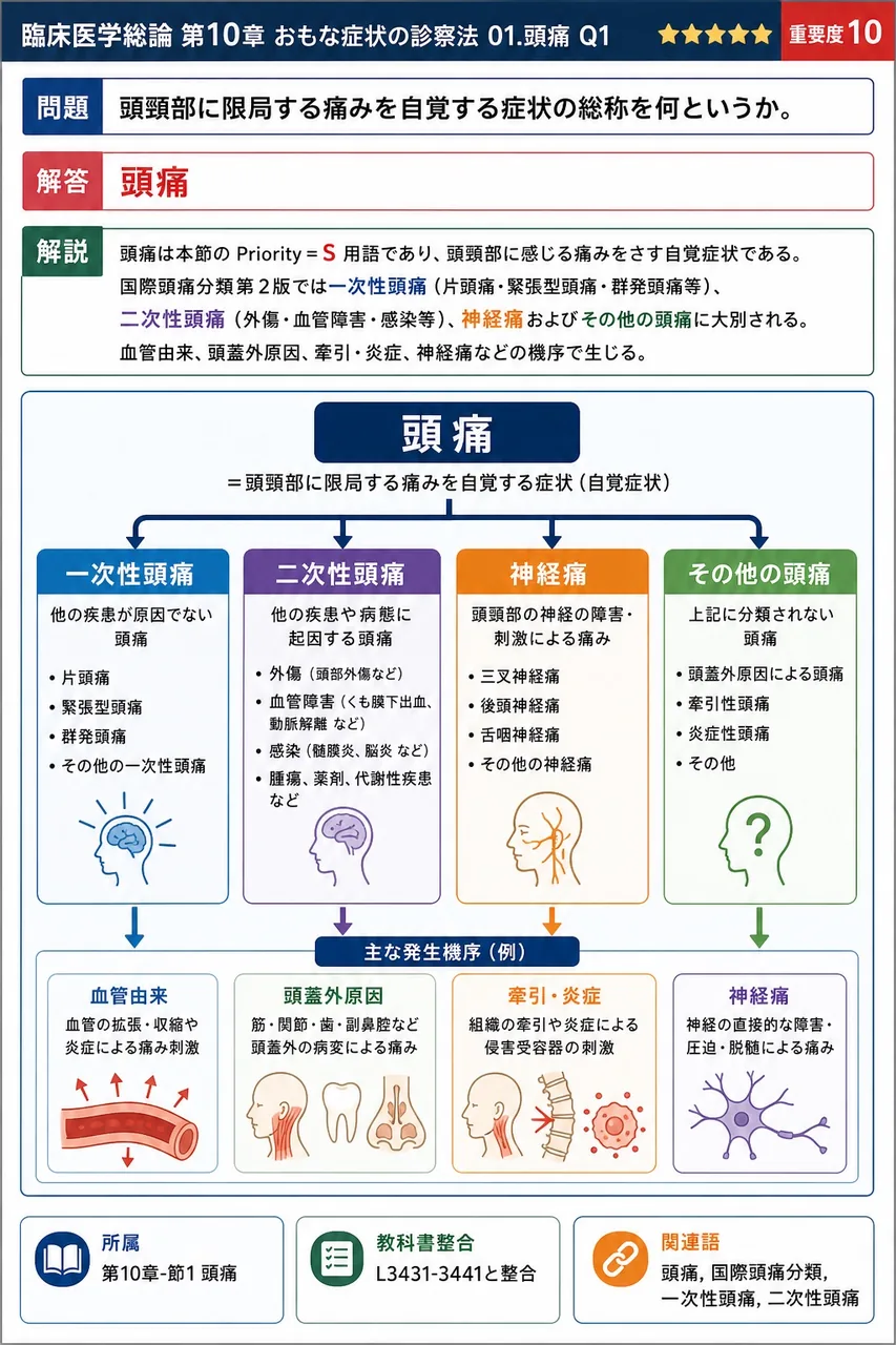 頭頸部に限局する痛みを自覚する症状の総称を何というか。 解説図
