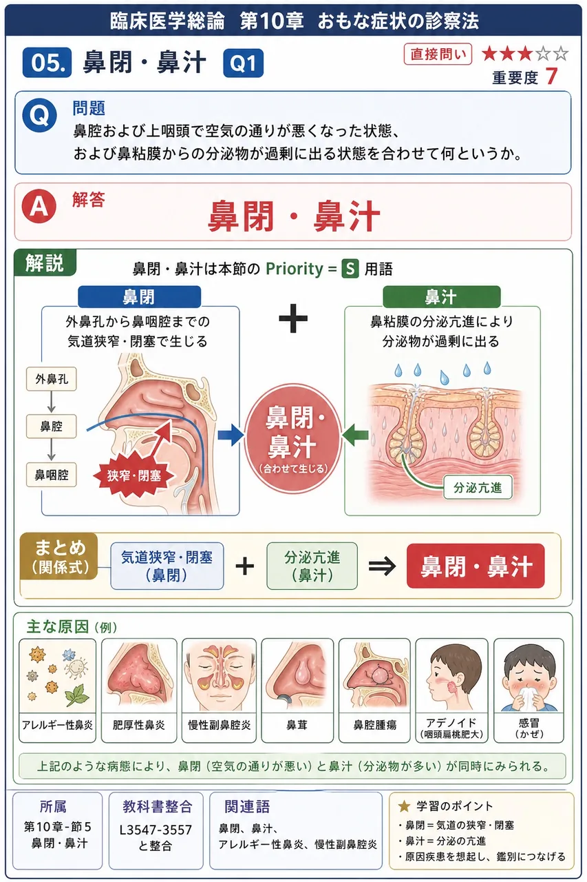 鼻腔および上咽頭で空気の通りが悪くなった状態、および鼻粘膜からの分泌物が過剰に出る状態を合わせて何というか。 解説図