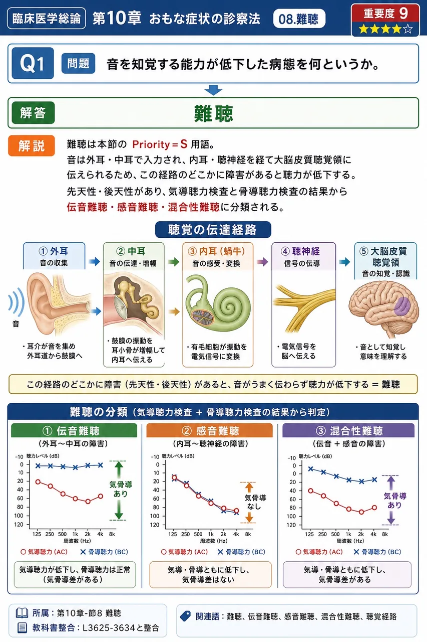 音を知覚する能力が低下した病態を何というか。 解説図