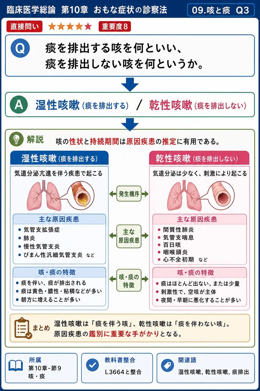 痰を排出する咳を何といい、痰を排出しない咳を何というか。 解説図