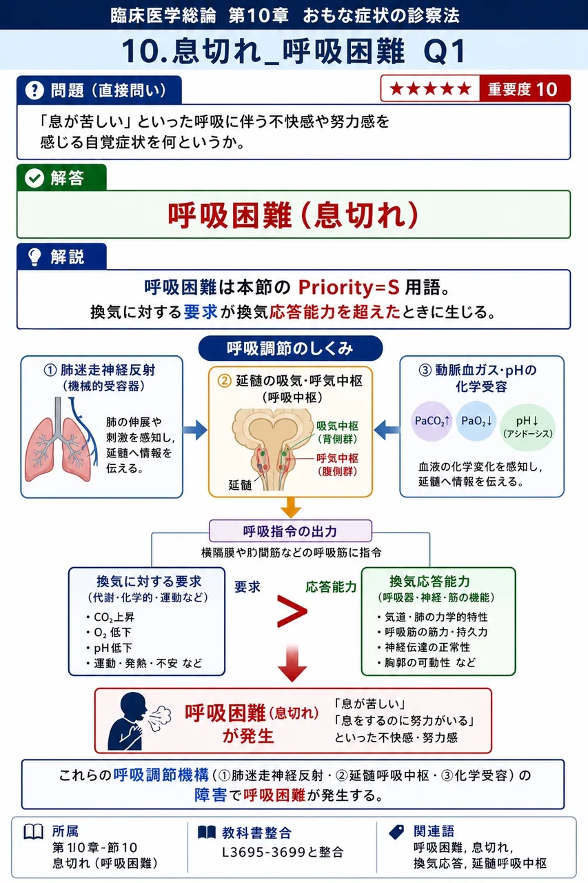 「息が苦しい」といった呼吸に伴う不快感や努力感を感じる自覚症状を何というか。 解説図