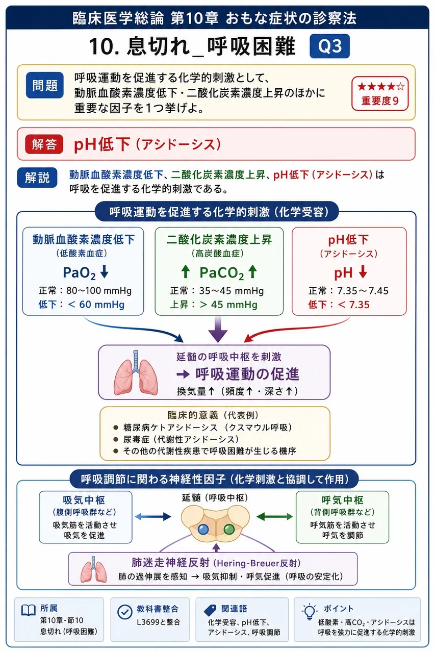 呼吸運動を促進する化学的刺激として、動脈血酸素濃度低下・二酸化炭素濃度上昇のほかに重要な因子を1つ挙げよ。 解説図