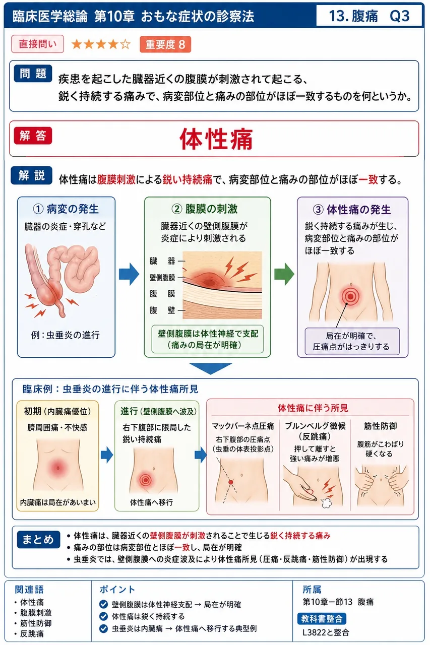 疾患を起こした臓器近くの腹膜が刺激されて起こる、鋭く持続する痛みで、病変部位と痛みの部位がほぼ一致するものを何というか。 解説図