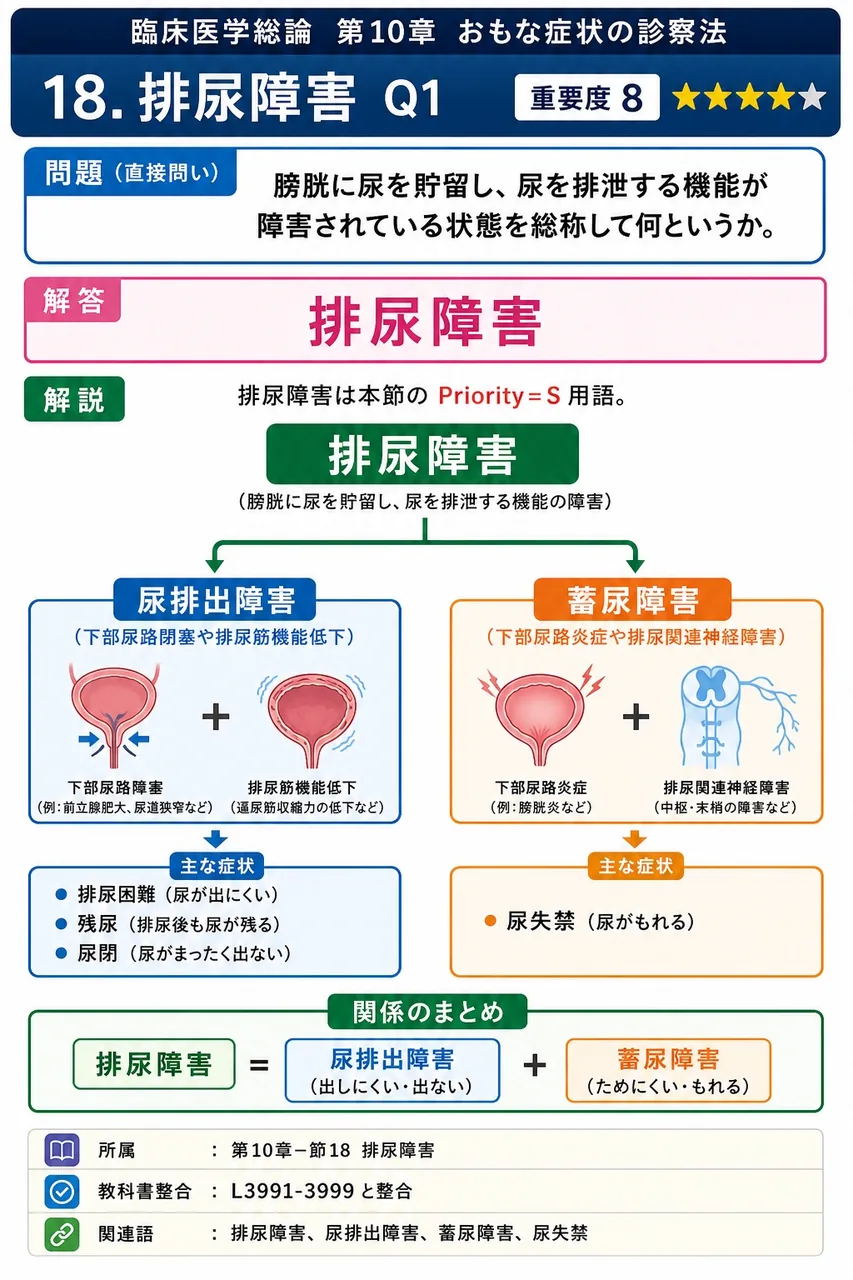 膀胱に尿を貯留し、尿を排泄する機能が障害されている状態を総称して何というか。 解説図