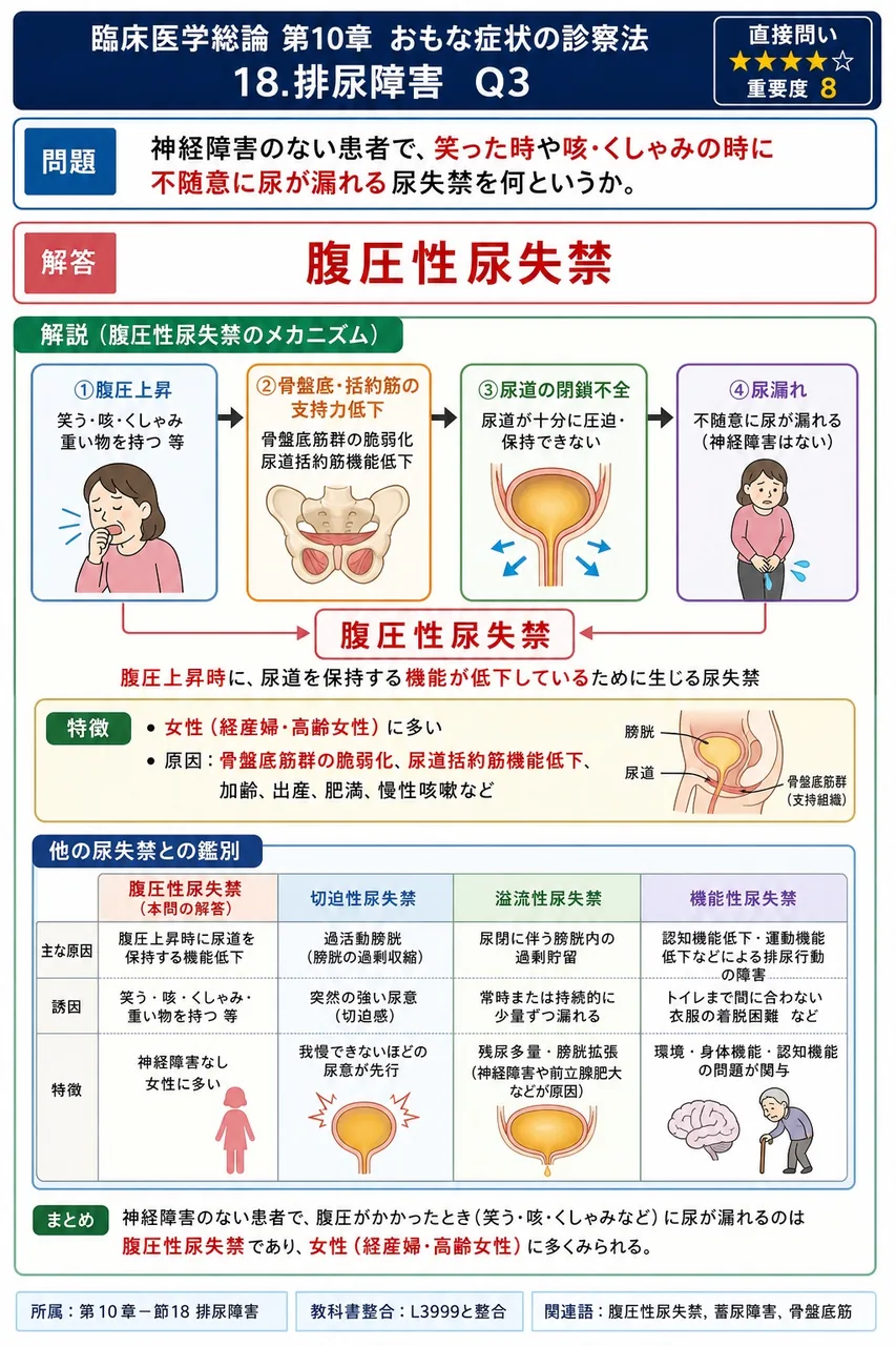 神経障害のない患者で、笑った時や咳・くしゃみの時に不随意に尿が漏れる尿失禁を何というか。 解説図