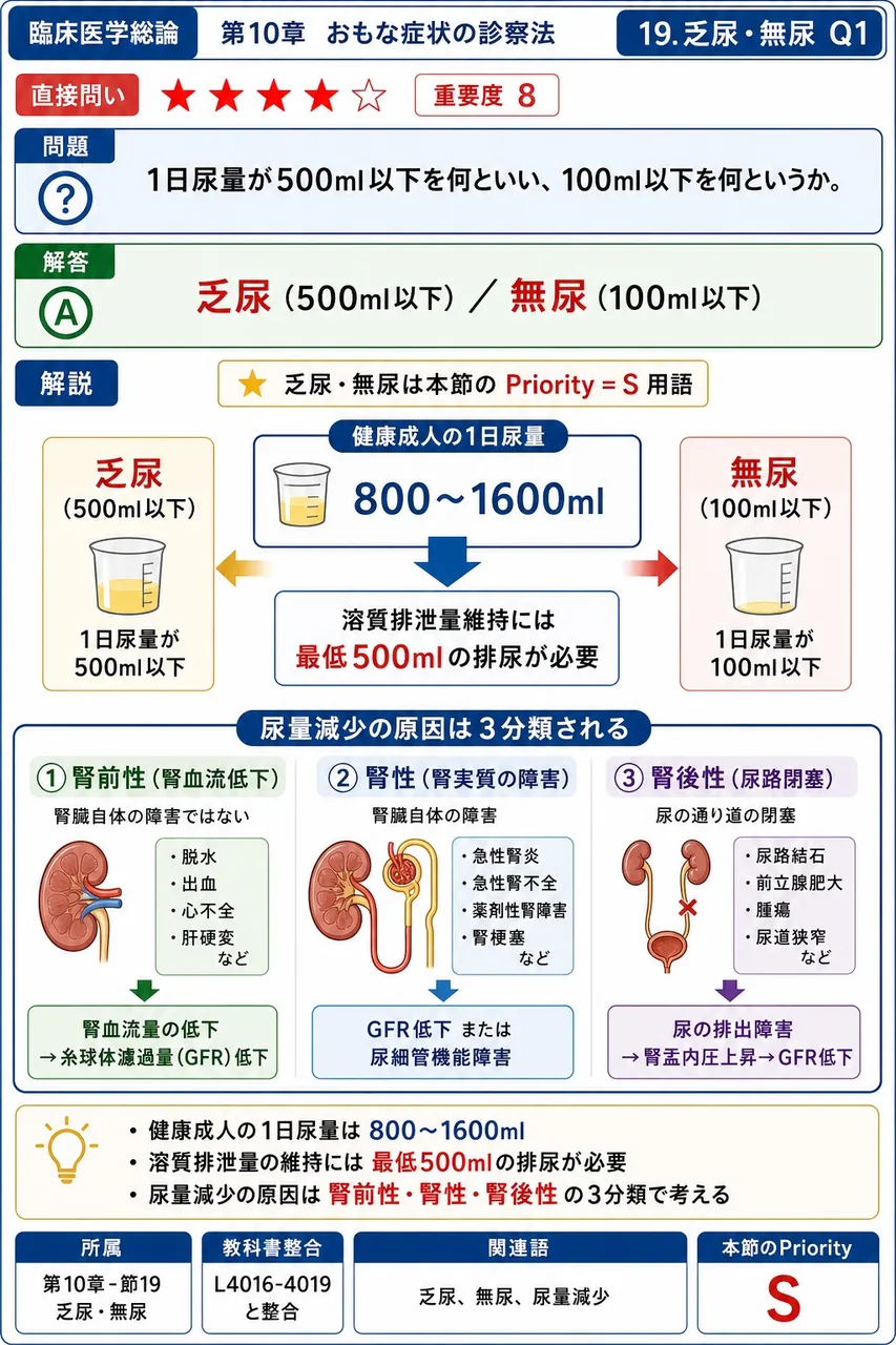 1日尿量が500ml以下を何といい、100ml以下を何というか。 解説図