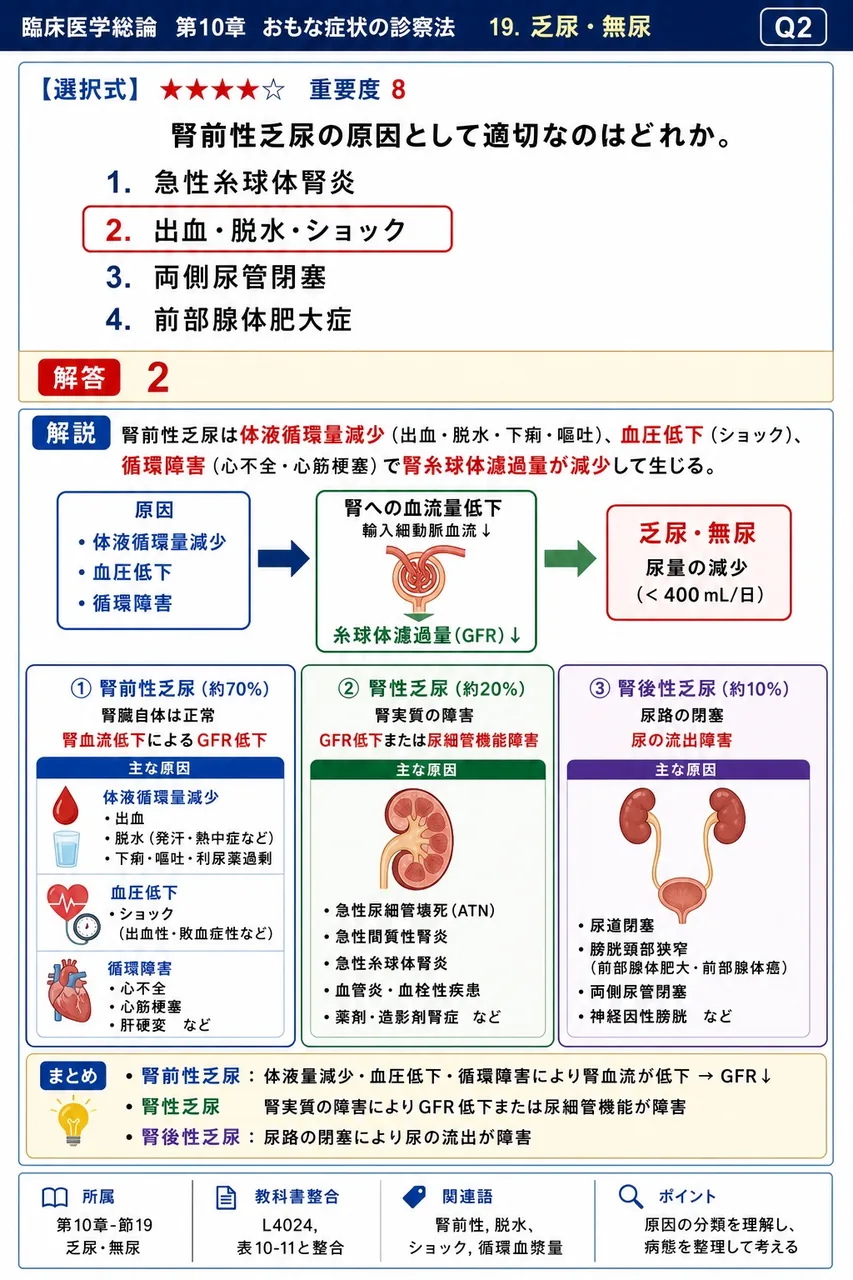 腎前性乏尿の原因として適切なのはどれか。 解説図