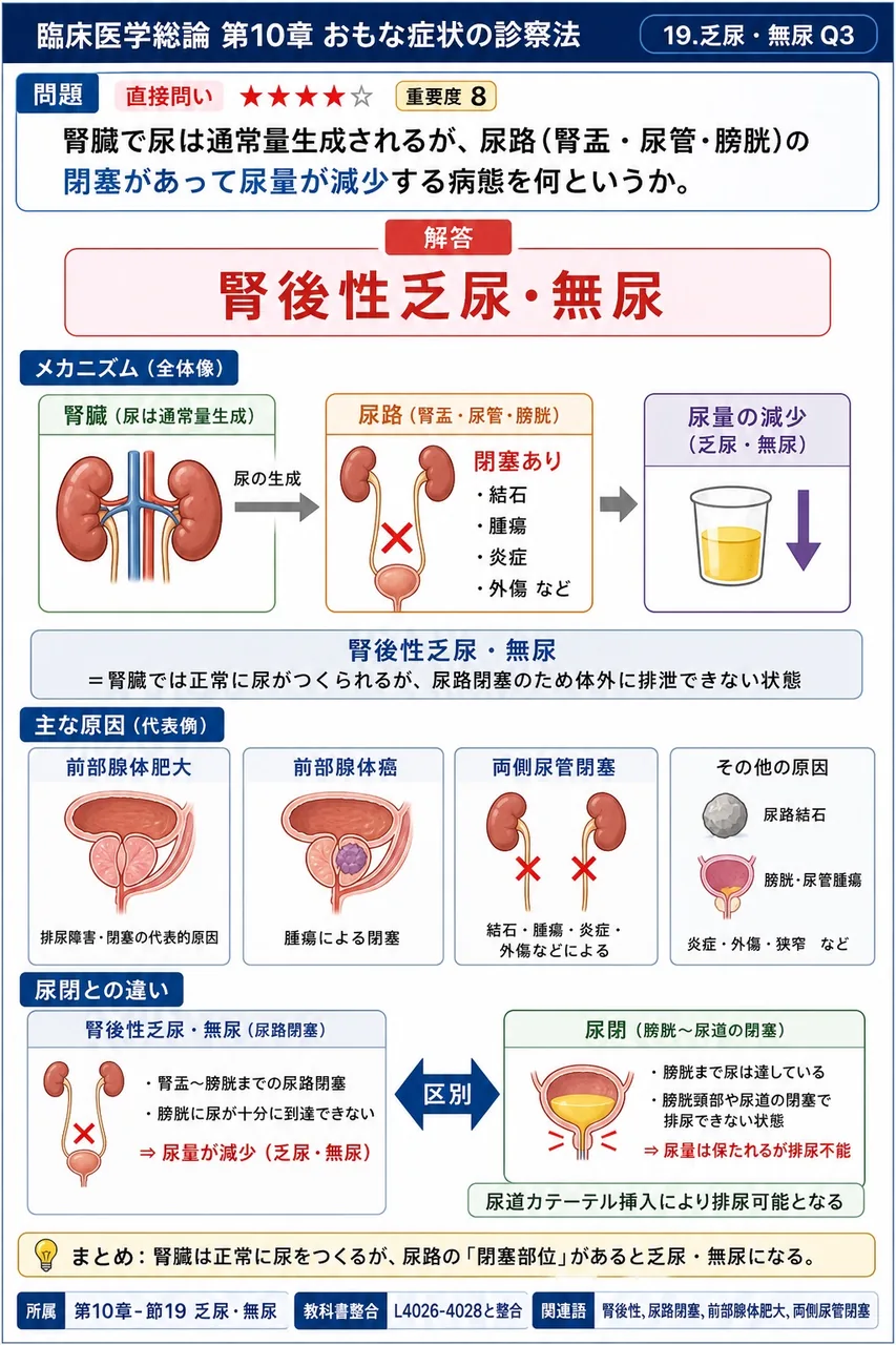 腎臓で尿は通常量生成されるが、尿路(腎盂・尿管・膀胱)の閉塞があって尿量が減少する病態を何というか。 解説図