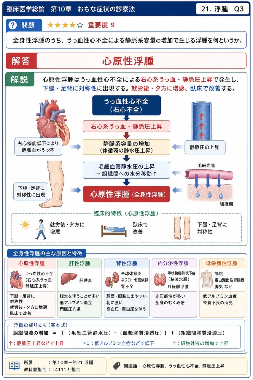 全身性浮腫のうち、うっ血性心不全による静脈系容量の増加で生じる浮腫を何というか。 解説図