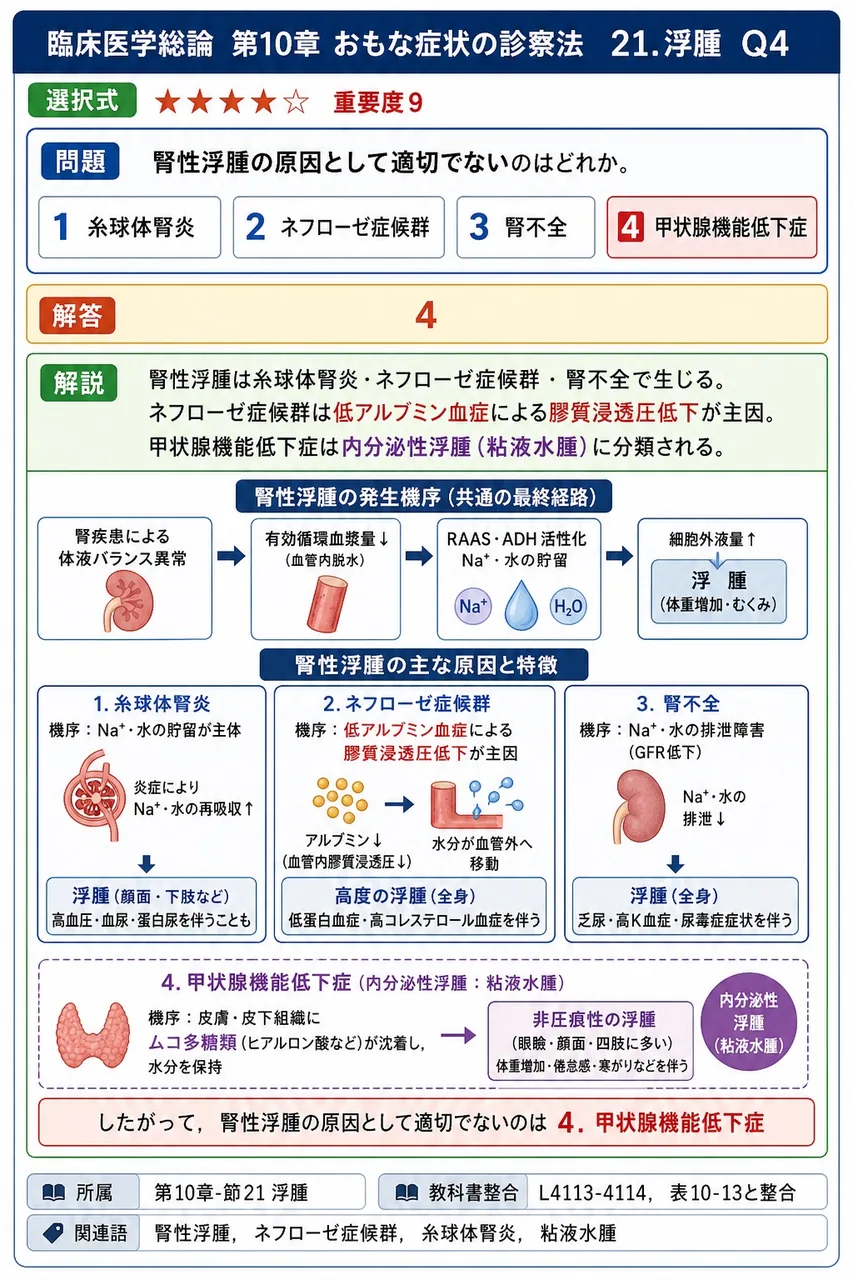 腎性浮腫の原因として適切でないのはどれか。 解説図