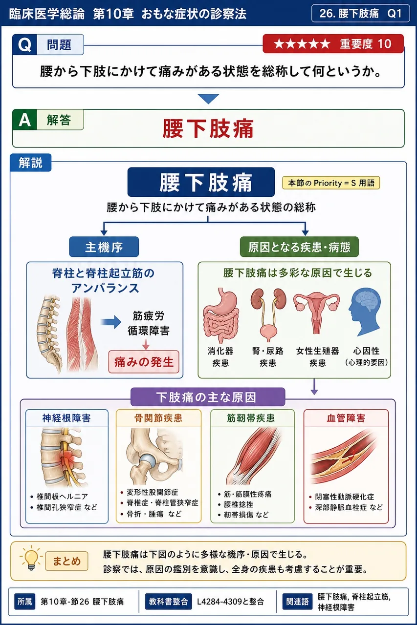 腰から下肢にかけて痛みがある状態を総称して何というか。 解説図