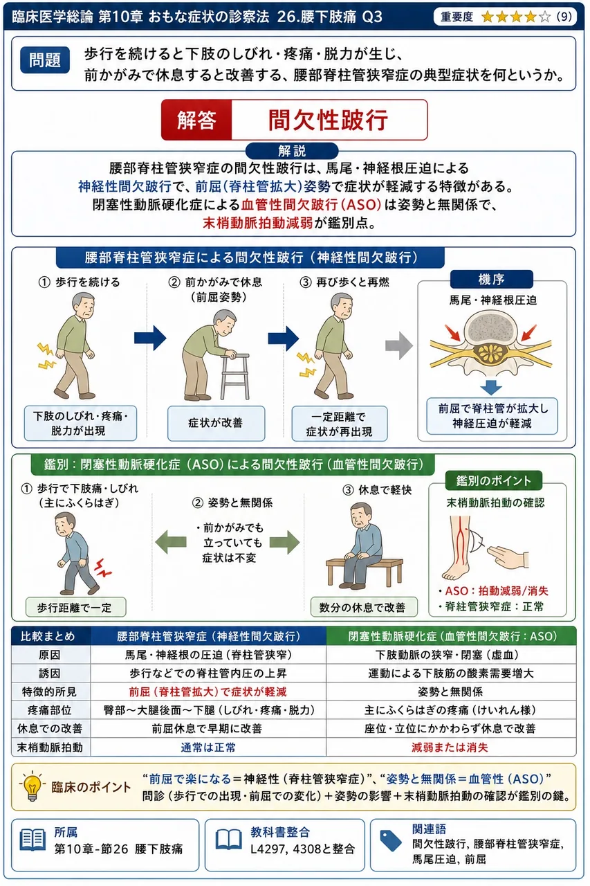 歩行を続けると下肢のしびれ・疼痛・脱力が生じ、前かがみで休息すると改善する、腰部脊柱管狭窄症の典型症状を何というか。 解説図