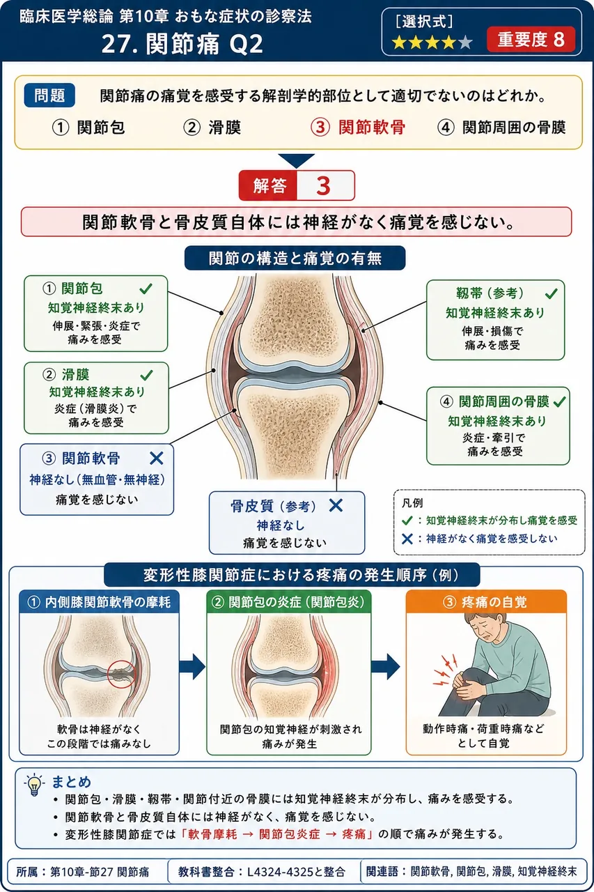 関節痛の痛覚を感受する解剖学的部位として適切でないのはどれか。 解説図
