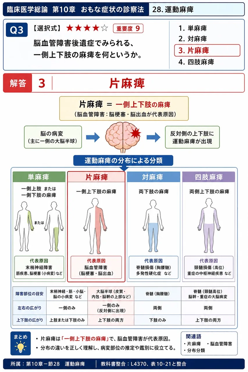 脳血管障害後遺症でみられる、一側上下肢の麻痺を何というか。 解説図