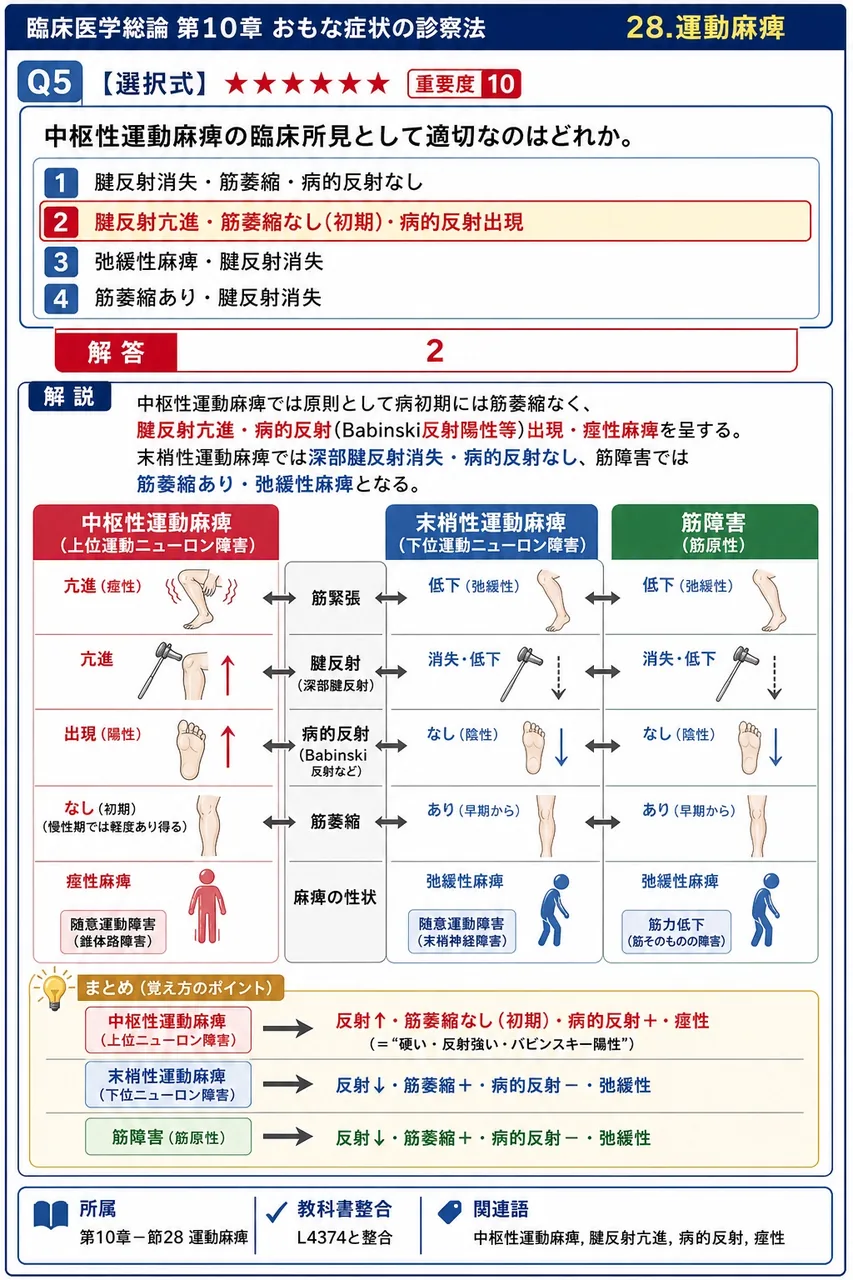 中枢性運動麻痺の臨床所見として適切なのはどれか。 解説図