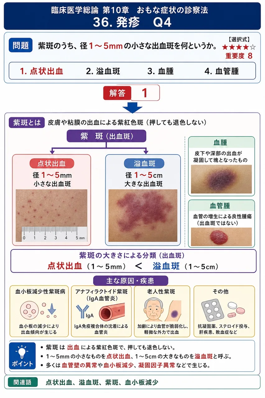 紫斑のうち、径1〜5mmの小さな出血斑を何というか。 解説図