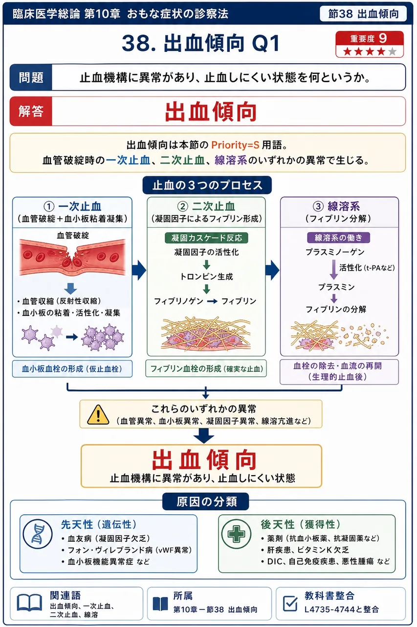 止血機構に異常があり、止血しにくい状態を何というか。 解説図