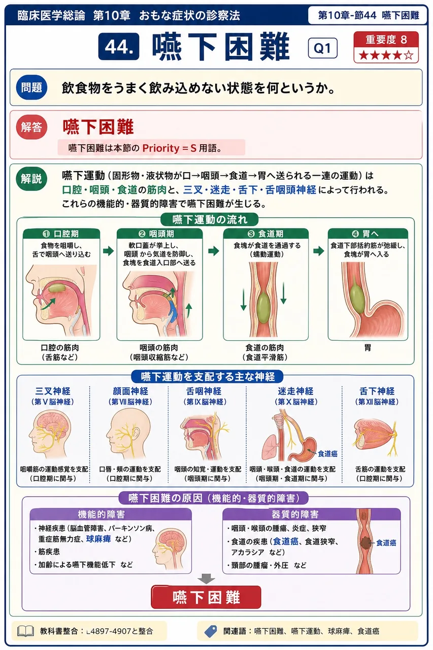 飲食物をうまく飲み込めない状態を何というか。 解説図