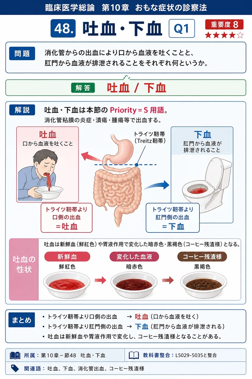 消化管からの出血により口から血液を吐くことと、肛門から血液が排泄されることをそれぞれ何というか。 解説図