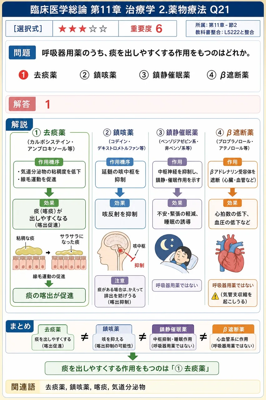 呼吸器用薬のうち、痰を出しやすくする作用をもつのはどれか。 解説図