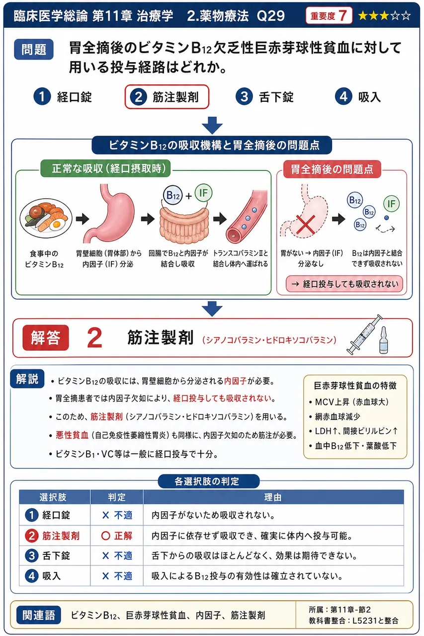 胃全摘後のビタミンB12欠乏性巨赤芽球性貧血に対して用いる投与経路はどれか。 解説図