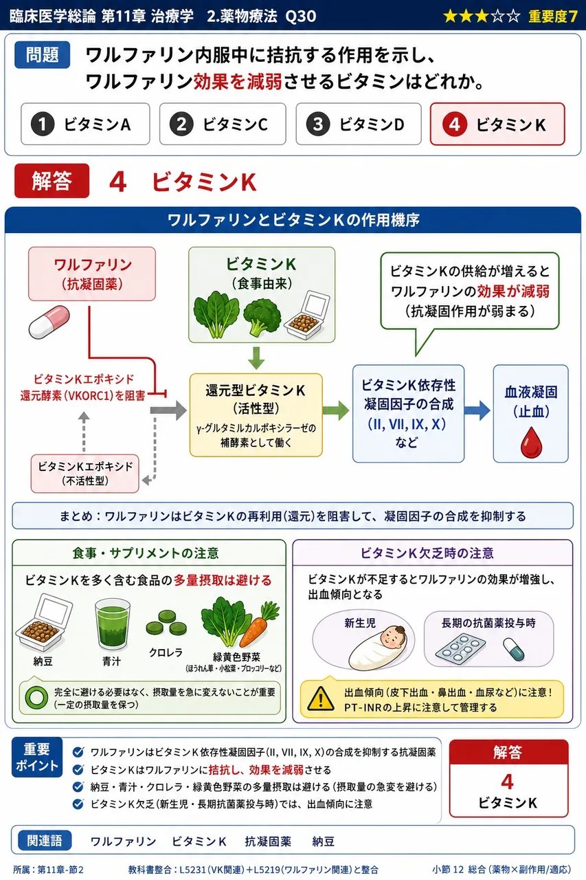 ワルファリン内服中に拮抗する作用を示し、ワルファリン効果を減弱させるビタミンはどれか。 解説図