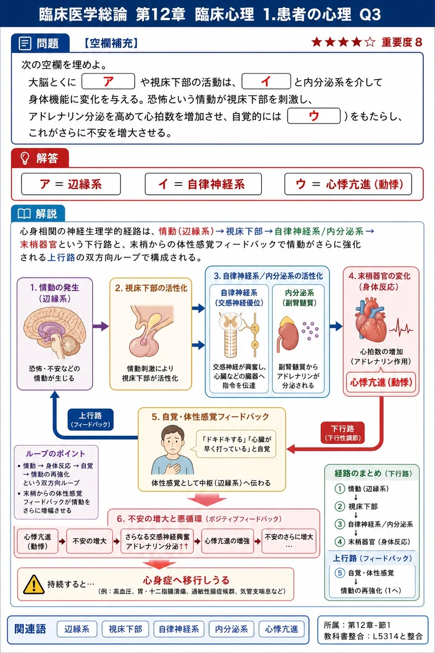 次の空欄を埋めよ。 「大脳とくに( ア )や視床下部の活動は、( イ )と内分泌系を介して身体機能に変化を与える。恐怖という情動が視床下部を刺激し、アドレナリン分泌を高めて心拍数を増加させ、自覚的には( ウ )をもたらし、これがさらに不安を増大させる。」 解説図