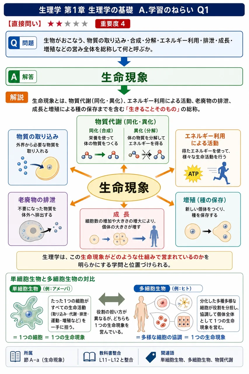 生物がおこなう、物質の取り込み・合成・分解・エネルギー利用・排泄・成長・増殖などの営み全体を総称して何と呼ぶか。 解説図