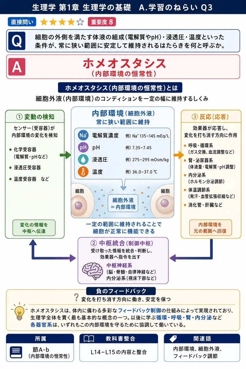 細胞の外側を満たす体液の組成(電解質やpH)・浸透圧・温度といった条件が、常に狭い範囲に安定して維持されるはたらきを何と呼ぶか。 解説図