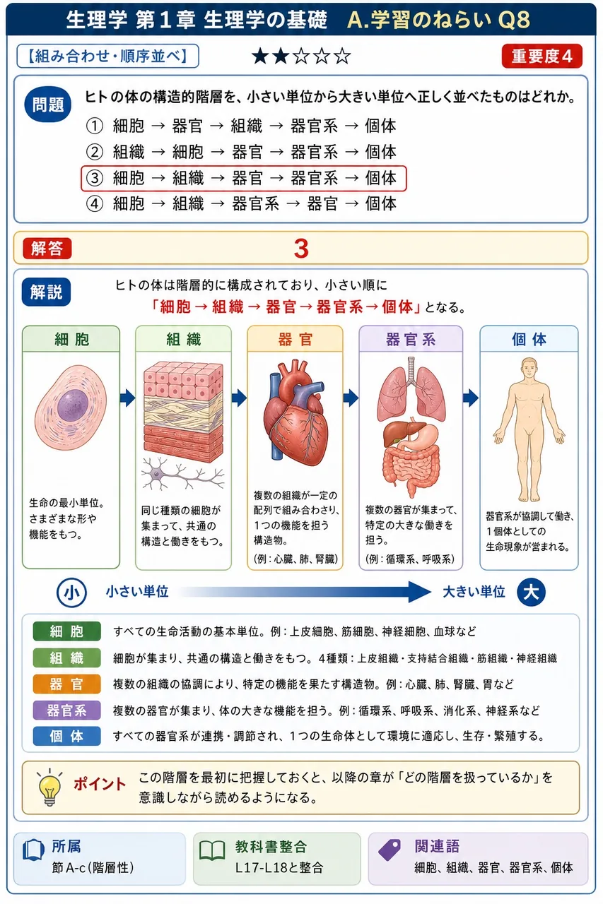 ヒトの体の構造的階層を、小さい単位から大きい単位へ正しく並べたものはどれか。 解説図