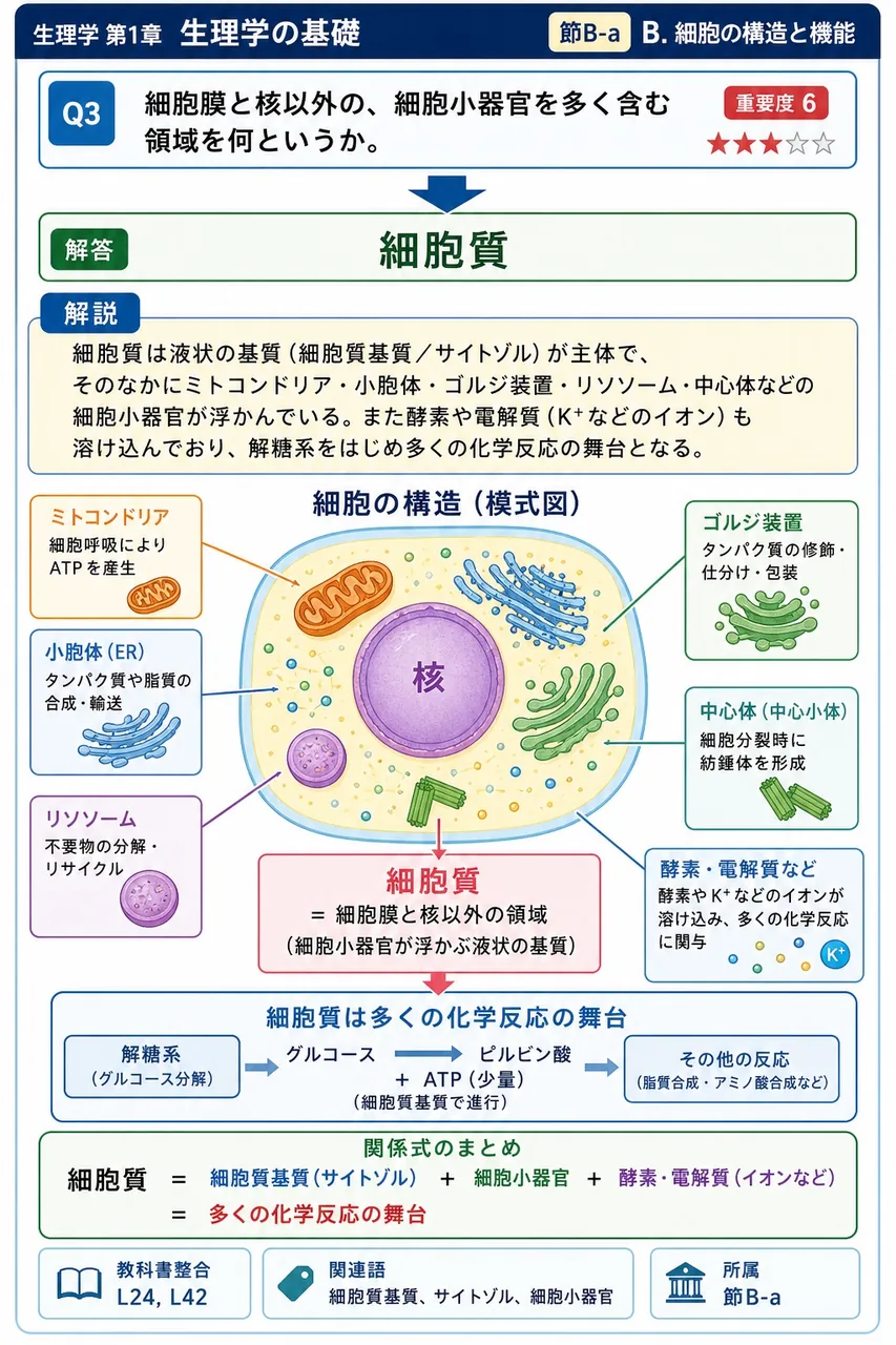 細胞膜と核以外の、細胞小器官を多く含む領域を何というか。 解説図