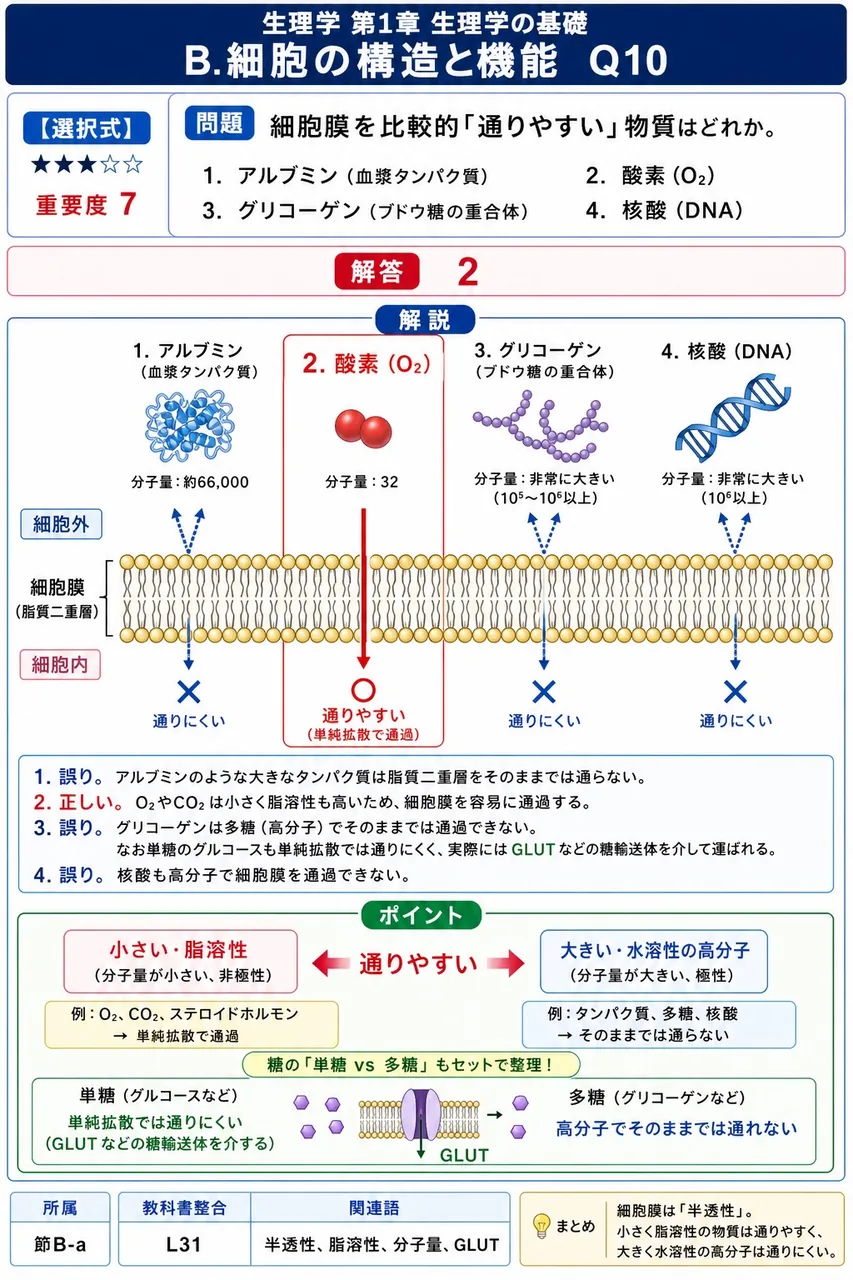 細胞膜を比較的「通りやすい」物質はどれか。 解説図