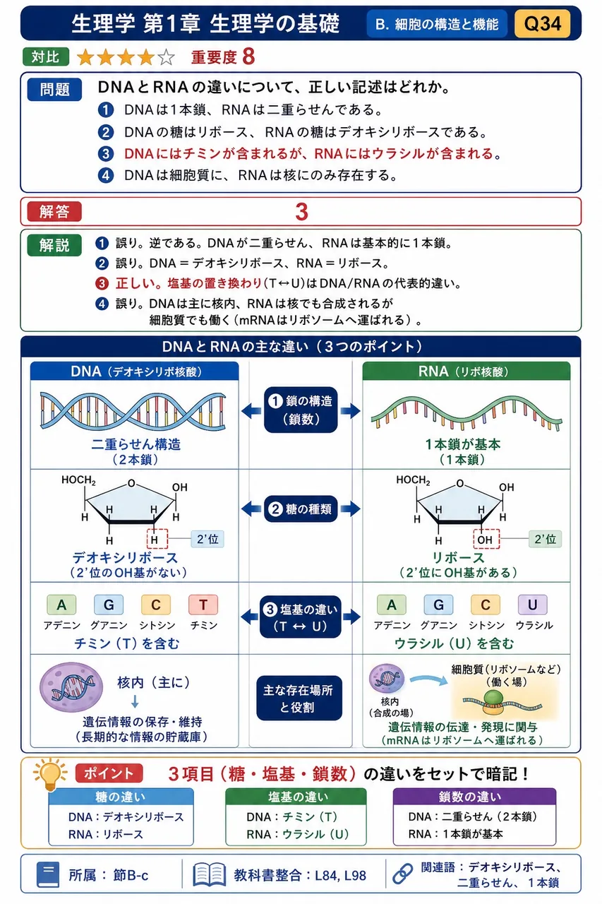 DNAとRNAの違いについて、正しい記述はどれか。 解説図