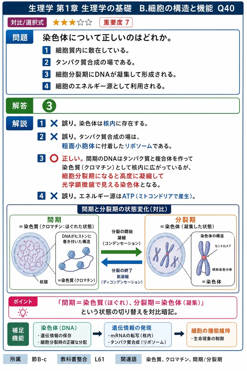 染色体について正しいのはどれか。 解説図